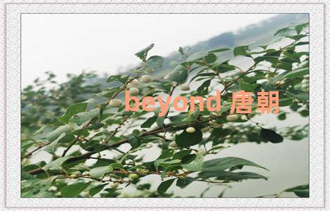 beyond 唐朝